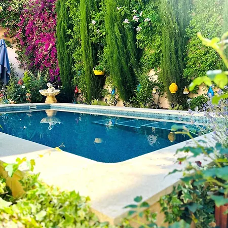 Bed & Breakfast Boutique At Casa Grande